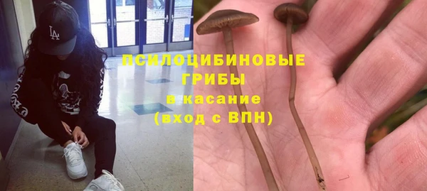 ПСИЛОЦИБИНОВЫЕ ГРИБЫ Володарск